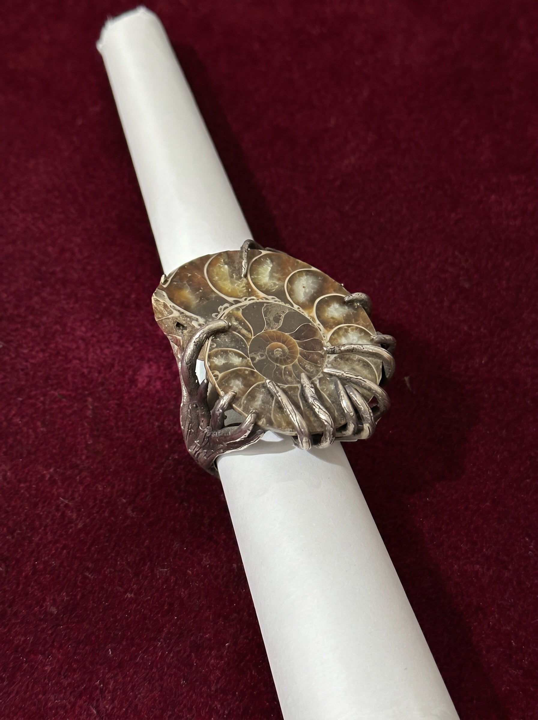 nautilus ring
