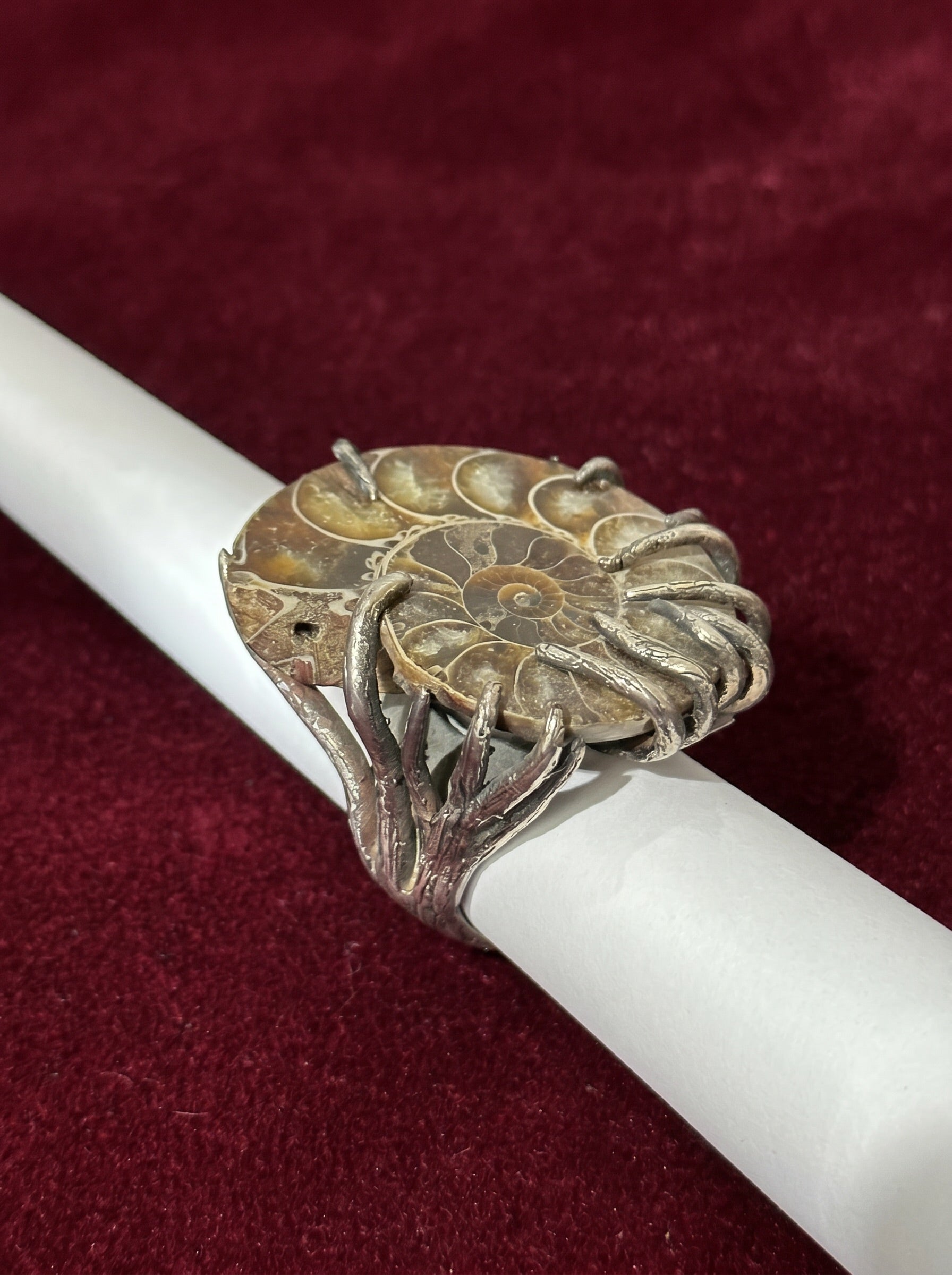 nautilus ring